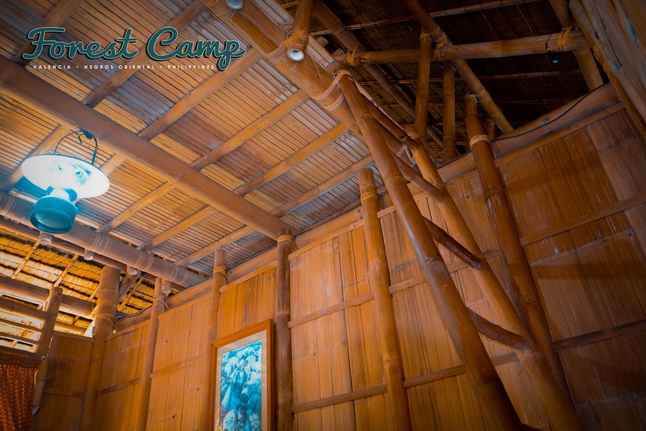 Forest Camp Resort Valencia  エクステリア 写真