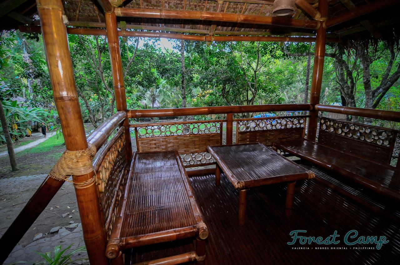 Forest Camp Resort Valencia  エクステリア 写真