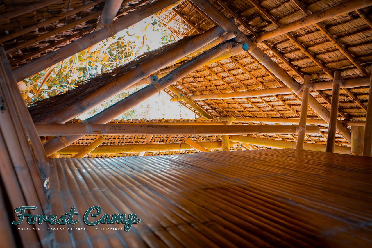 Forest Camp Resort Valencia  エクステリア 写真